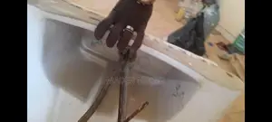 Une Chaise Anglais Et Un Lavabo