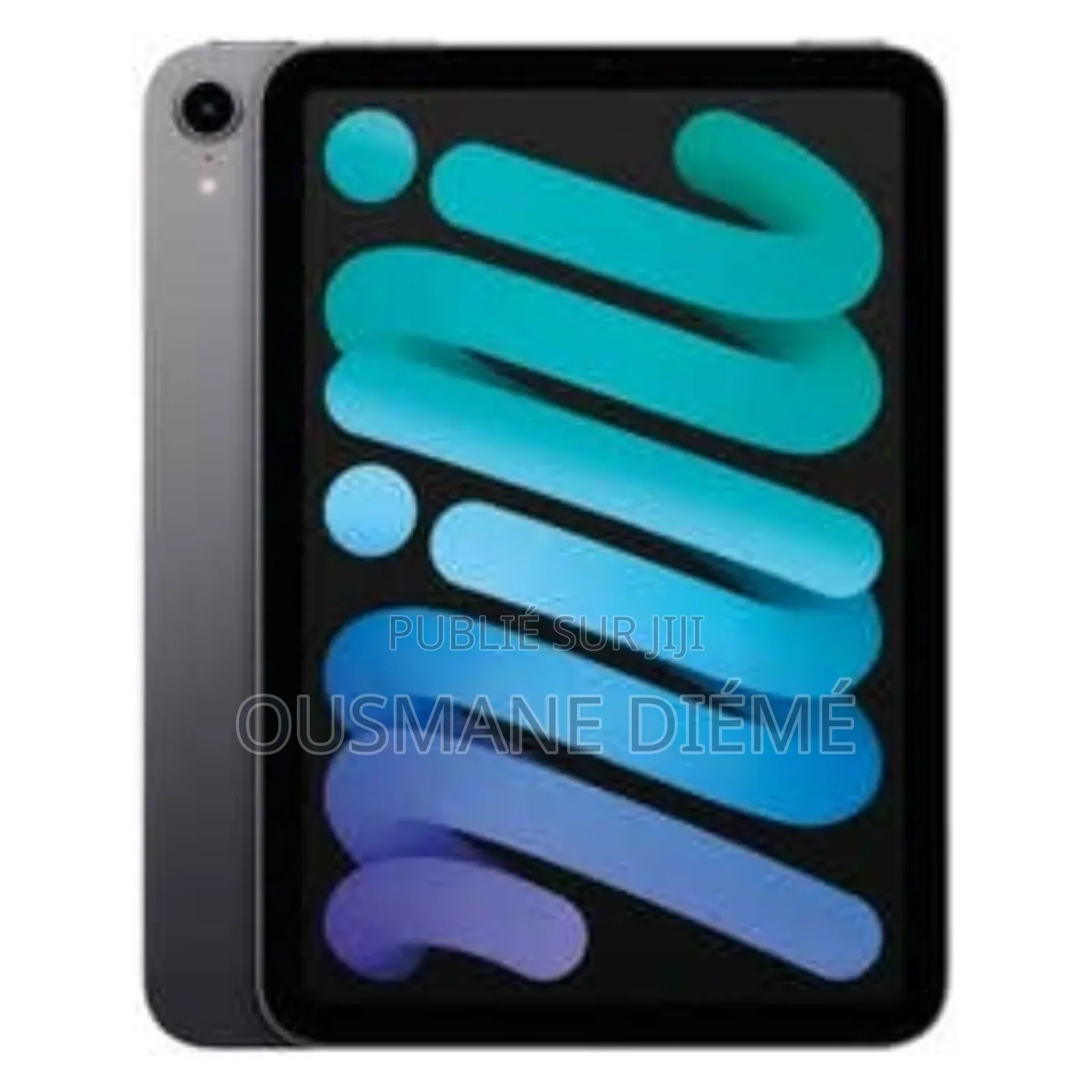 Apple iPad mini 6 256 GB Gris