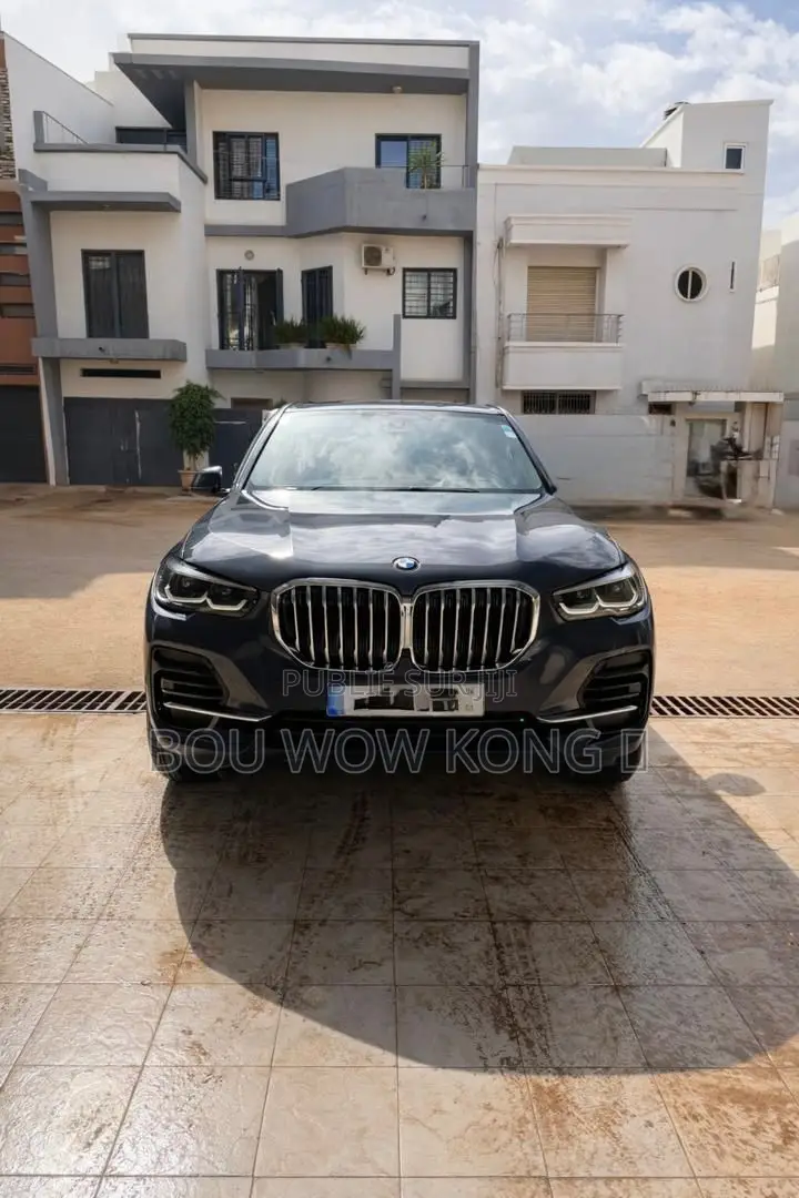 BMW X5 xDrive40i 2023 Gris