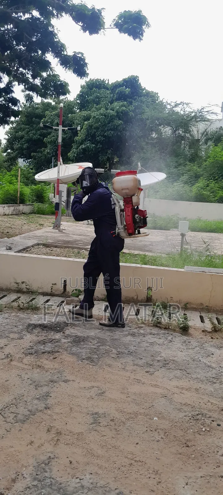 F.M.P.S Fallmadina Phyto Services