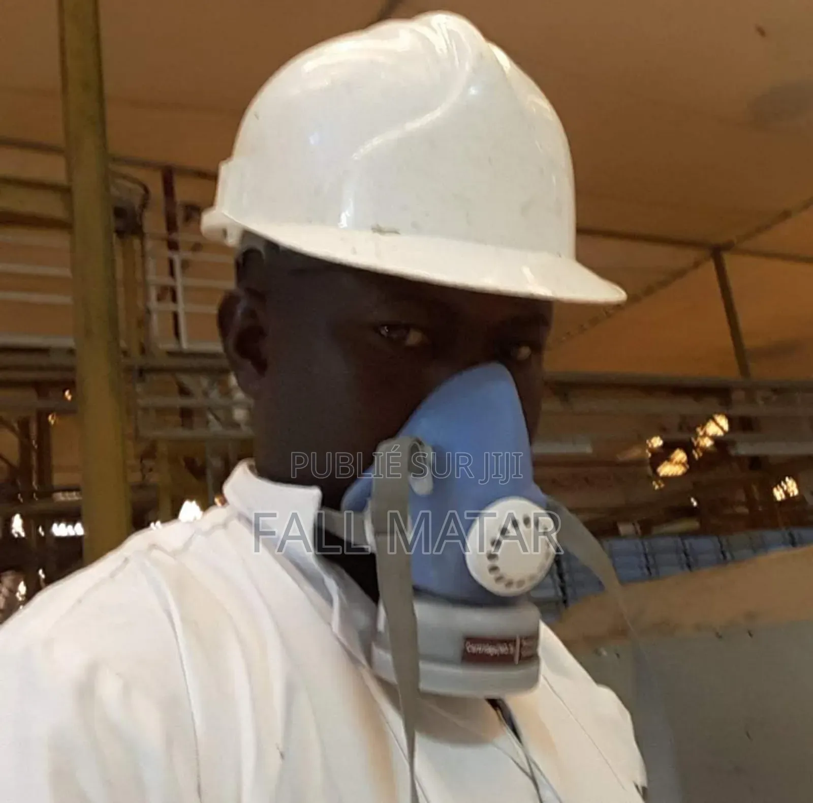 F.M.P.S Fallmadina Phyto Services