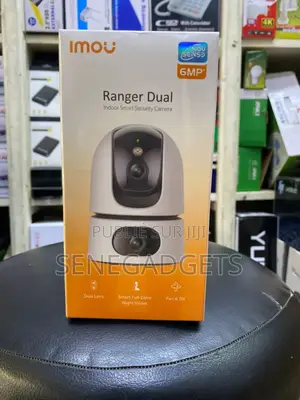 Camera De Surveillance