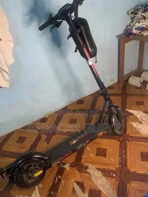 Trotinette Électrique