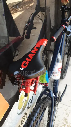 VTT Tout Terrain Riverside XXL