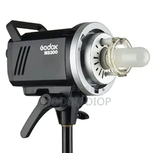 Flash Godox Ms300 Tout Neuf