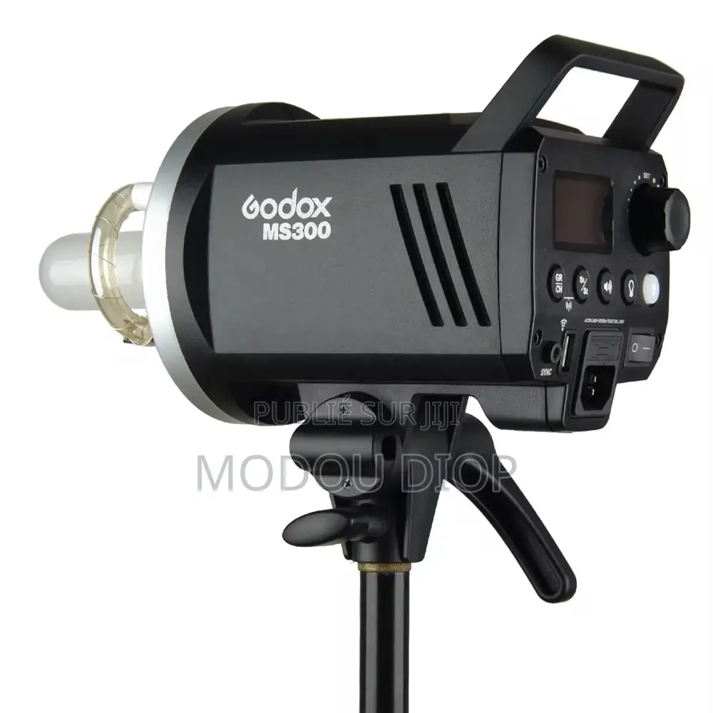 Flash Godox Ms300 Tout Neuf