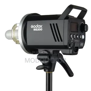 Flash Godox Ms300 Tout Neuf
