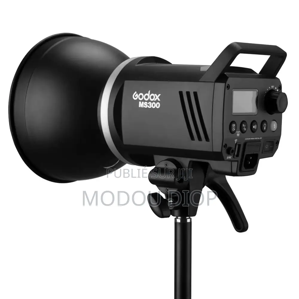 Flash Godox Ms300 Tout Neuf