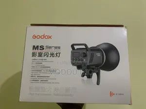 Flash Godox Ms300 Tout Neuf