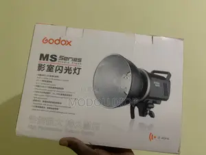 Flash Godox Ms300 Tout Neuf