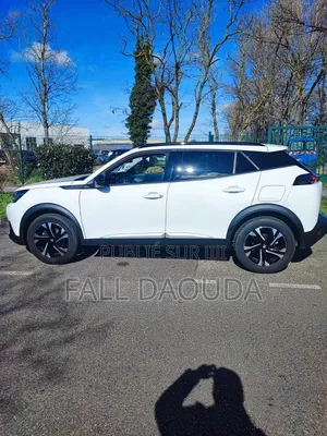 Peugeot 2008 2022 Blanc
