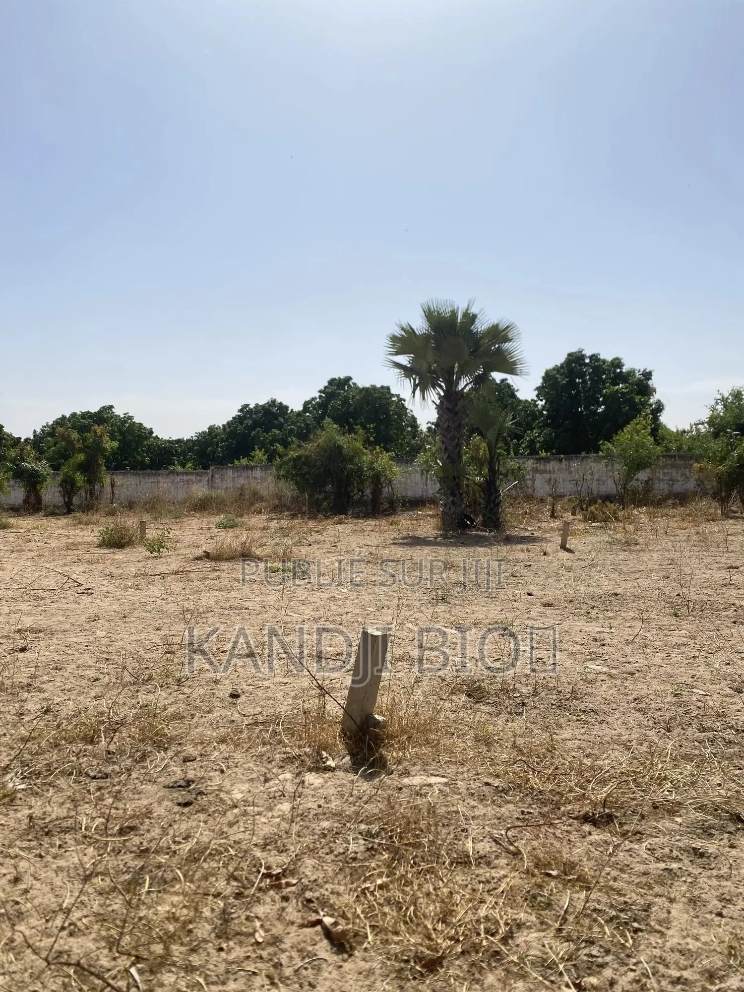 Terrain À Vendre Khoudia