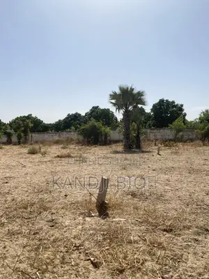 Terrain À Vendre Khoudia