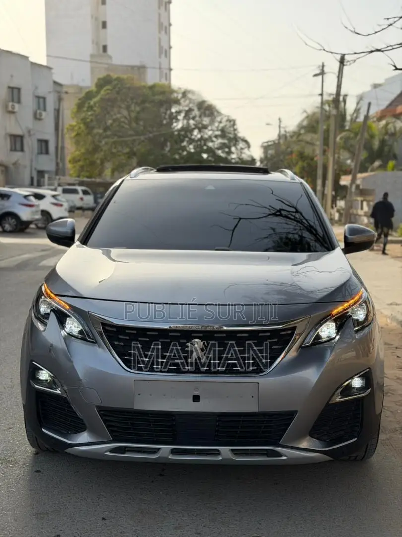 Peugeot 3008 2018 Gris