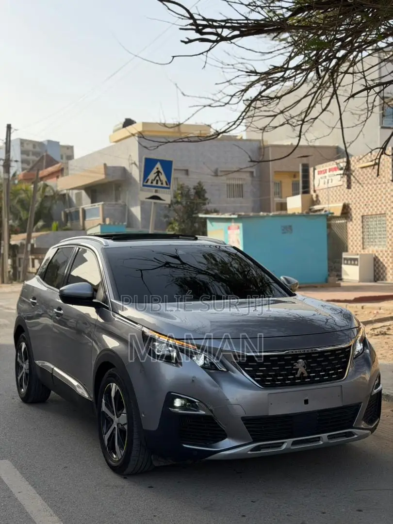 Peugeot 3008 2018 Gris