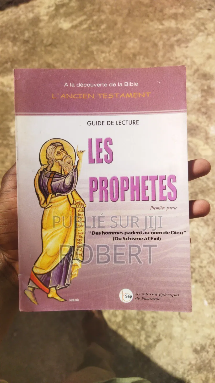 Guide De Lecture Les Prophètes