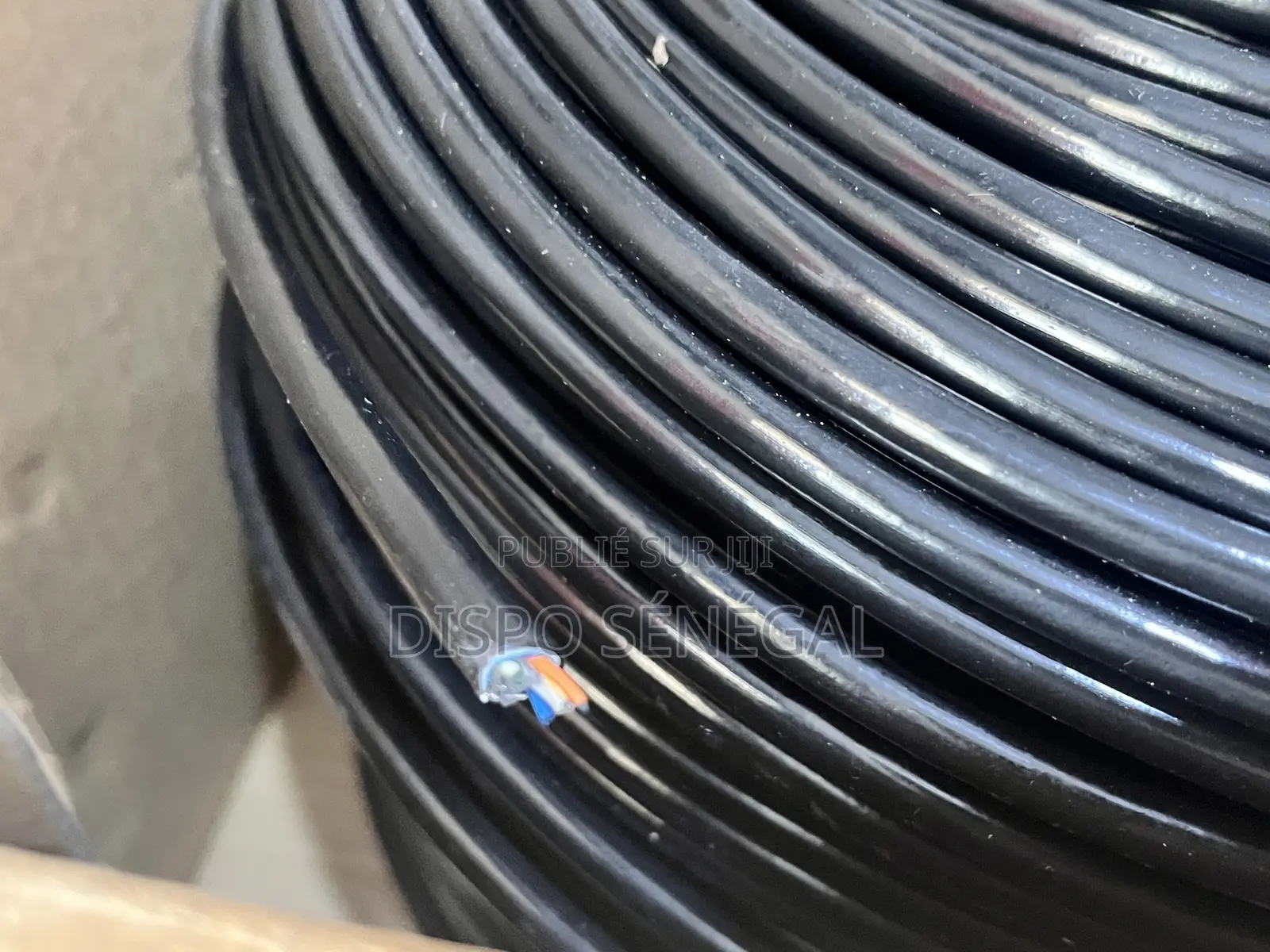 Câble Ethernet Cat6 Extérieur (305m)