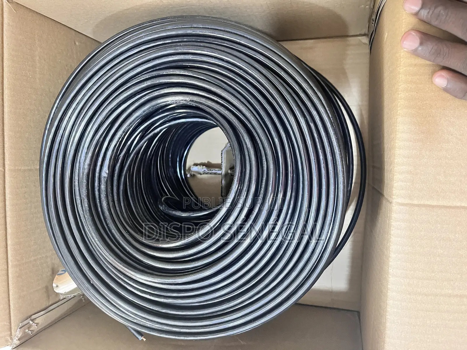 Câble Ethernet Cat6 Extérieur (305m)