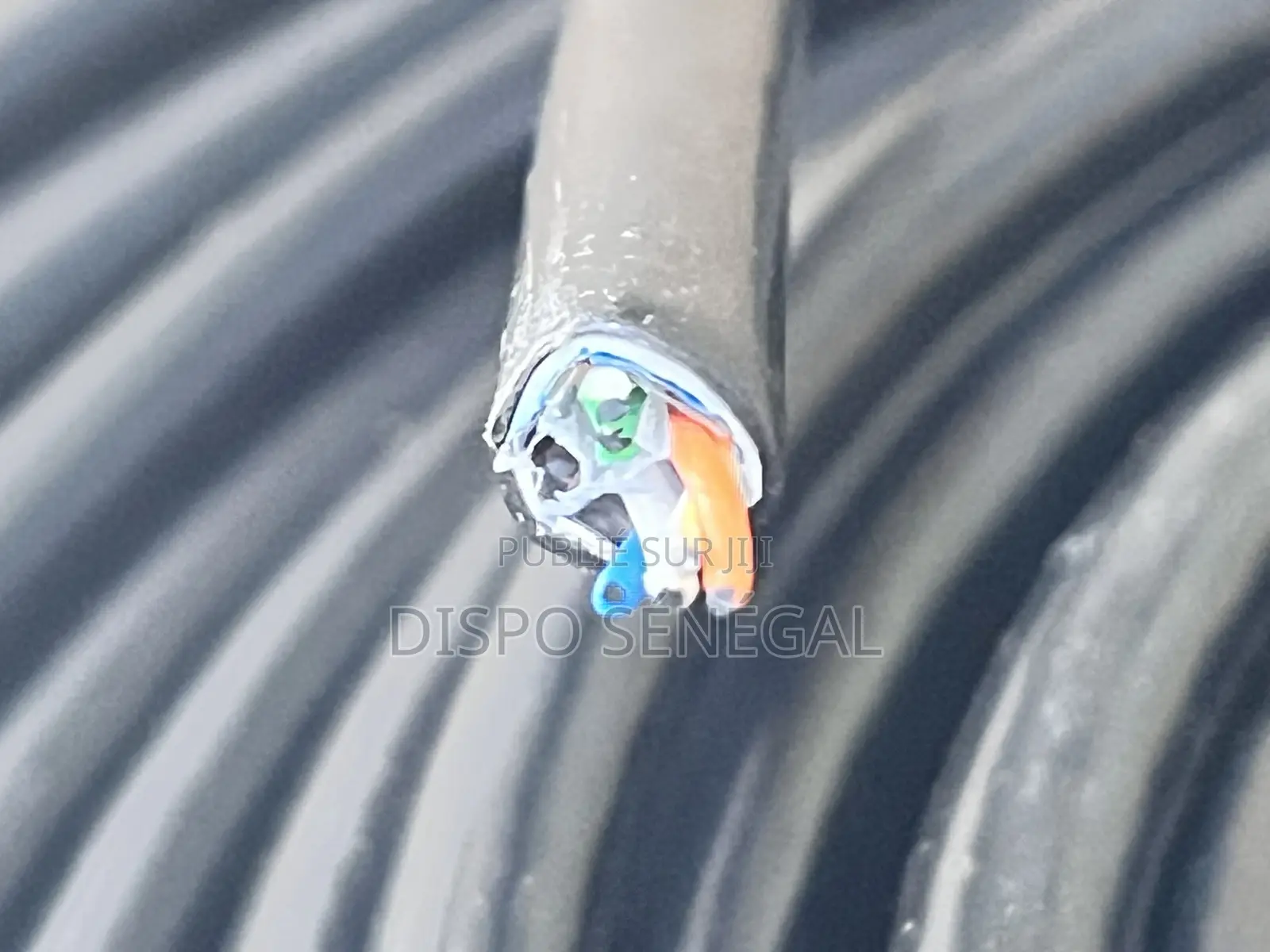 Câble Ethernet Cat6 Extérieur (305m)