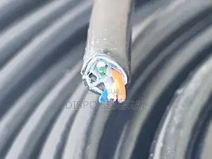 Câble Ethernet Cat6 Extérieur (305m)