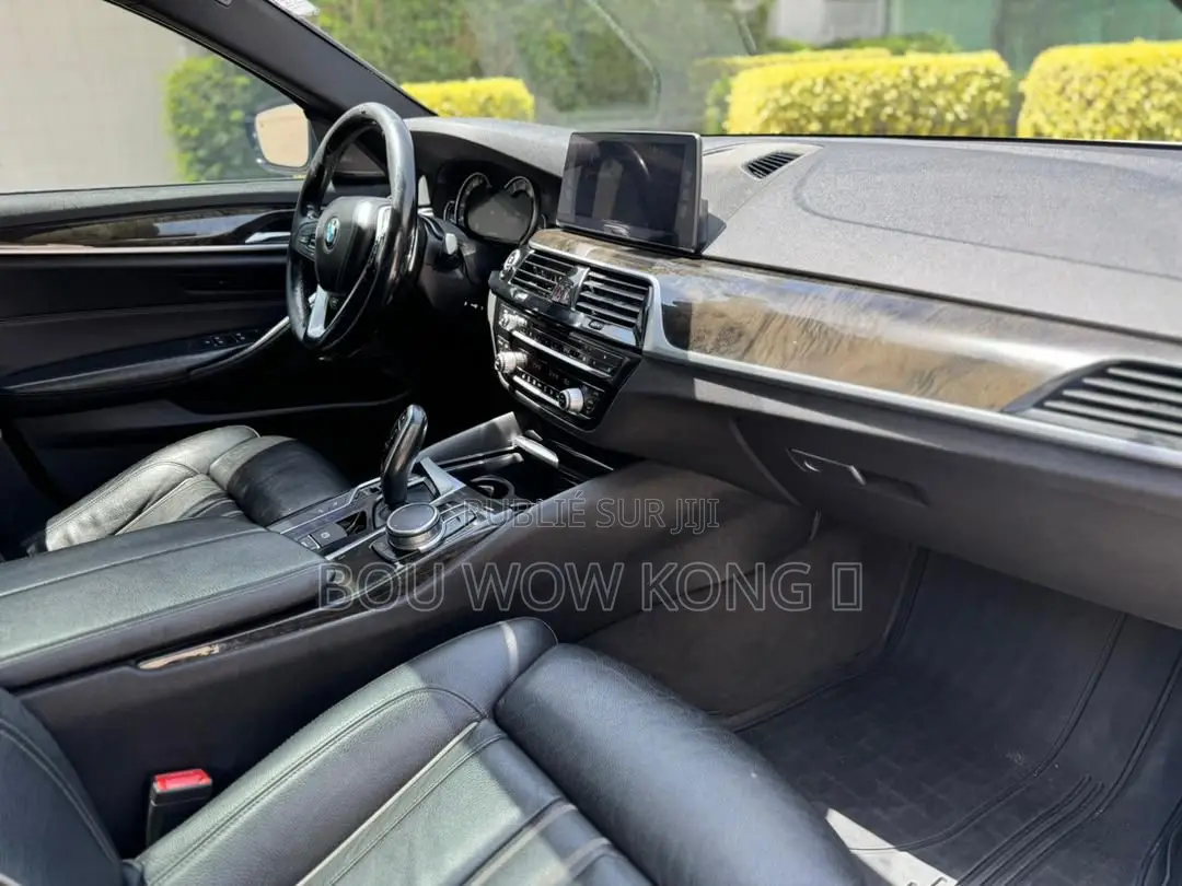 BMW 5 Series G30 530e 2017 Gris