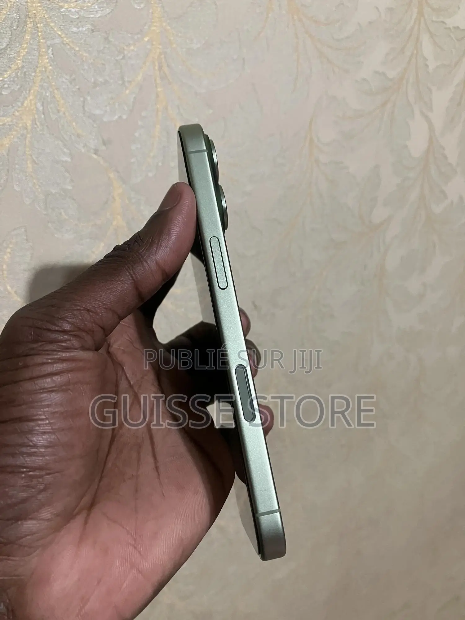 Apple iPhone 17 256 GB Vert