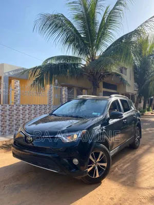 Toyota RAV4 XLE AWD 2019 Noir