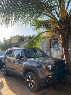 Jeep Renegade 2020 Gris