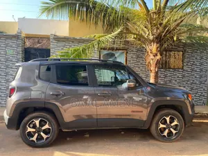 Jeep Renegade 2020 Gris
