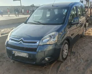 Citroen Berlingo 2014 Autre