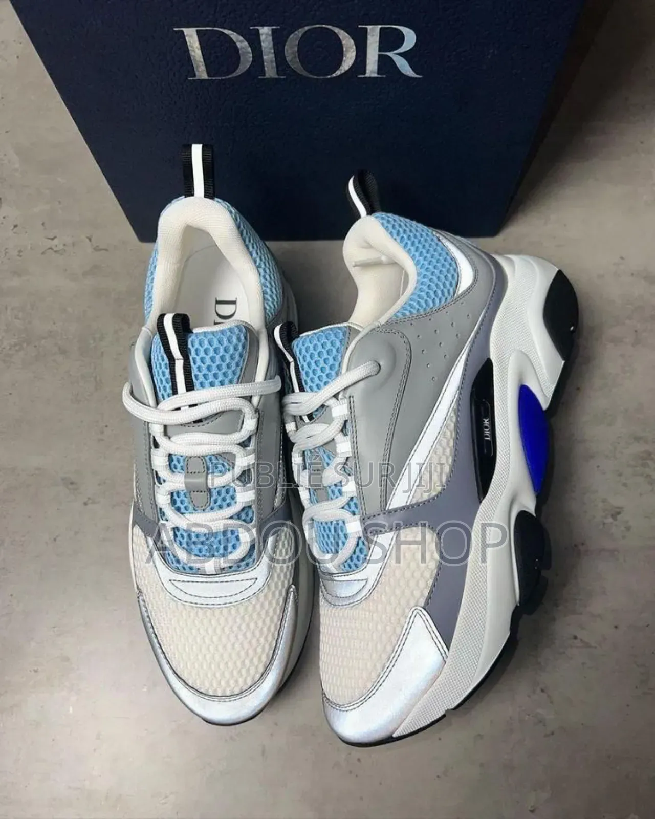 Dior B22 Couleur Gris-Blanc Disponible