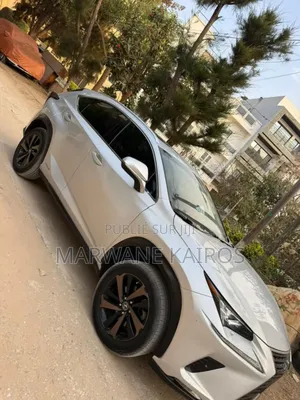 Lexus NX 300h Base 4x4 (2.5L 4cyl 2A) 2017 Blanc