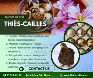 Œufs De Caille De Thiès Caille