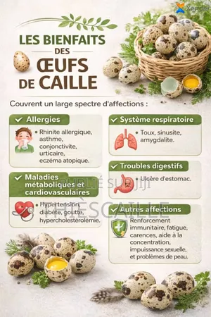 Œufs De Caille De Thiès Caille
