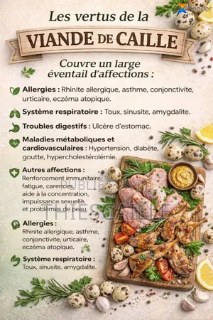 Œufs De Caille De Thiès Caille