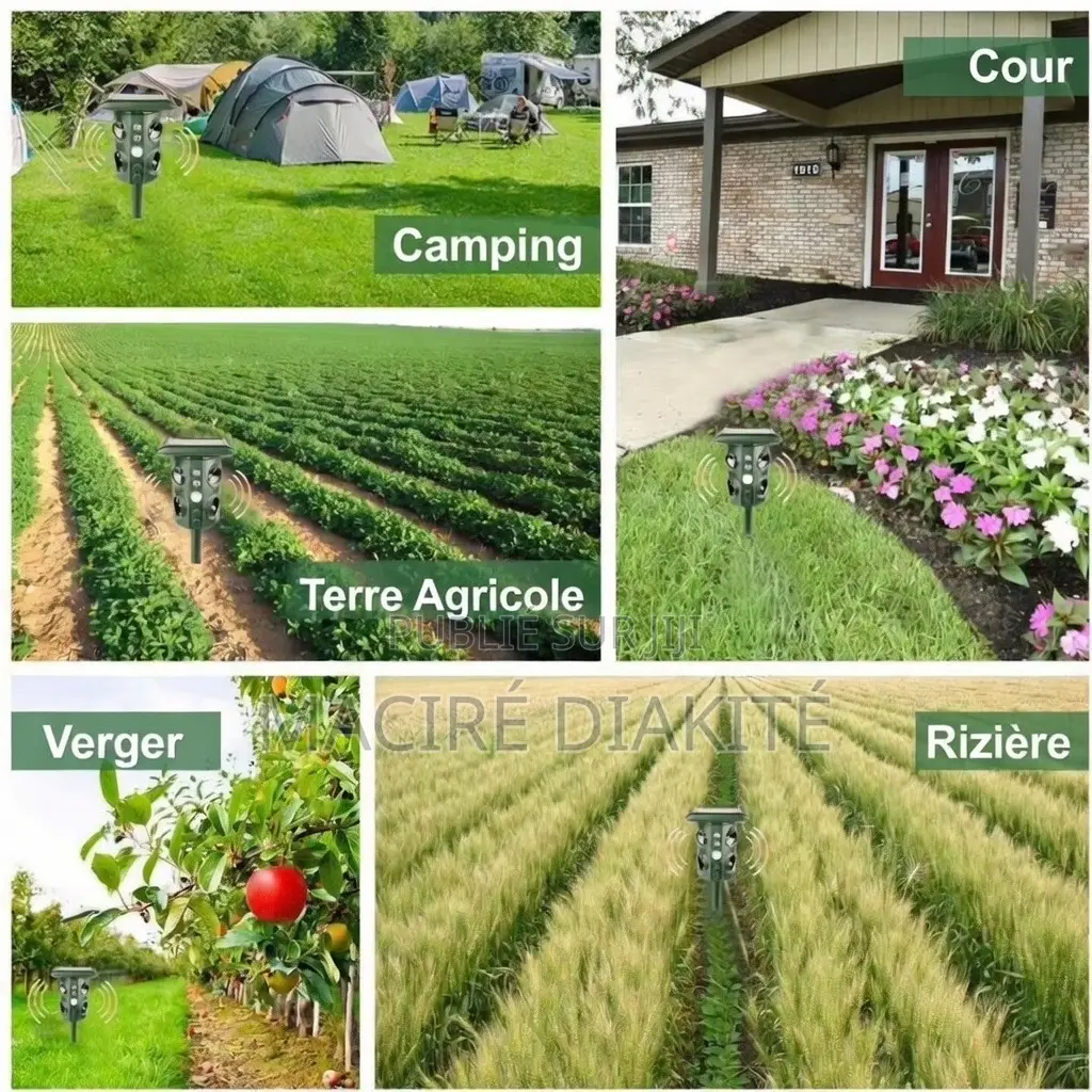 Repulssif À Ultrasons Pour Animaux