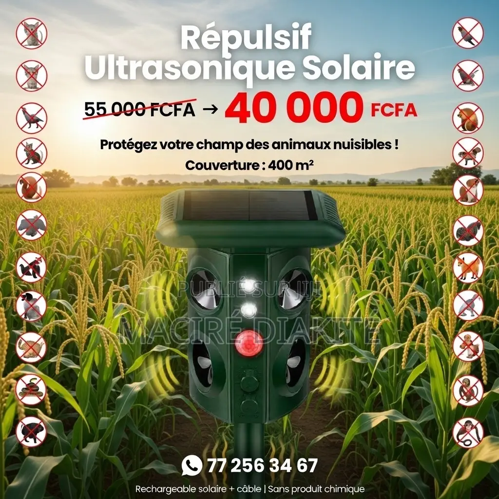 Repulssif À Ultrasons Pour Animaux