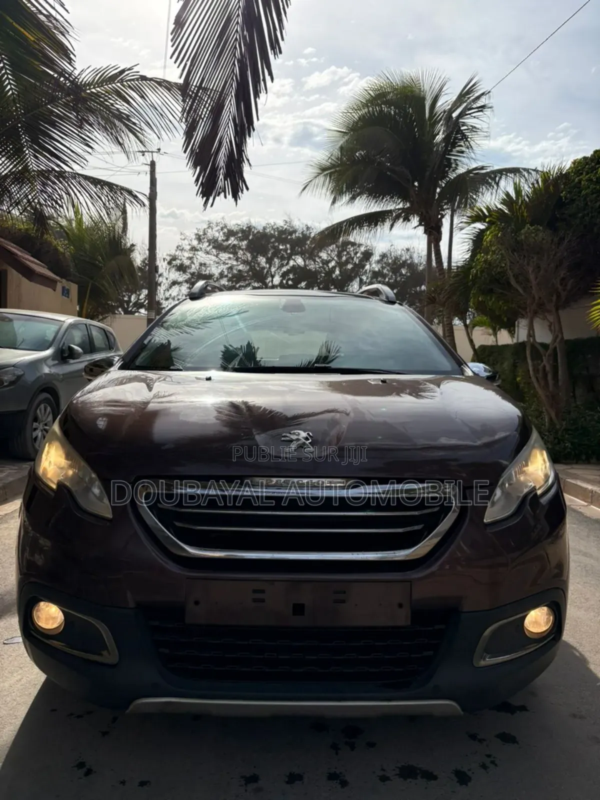 Peugeot 2008 2015 Autre