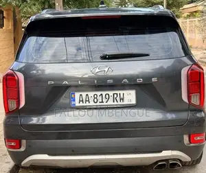 Hyundai Palissade 2019 Gris