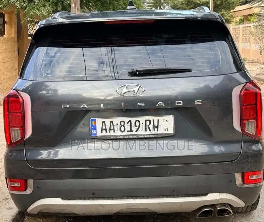 Hyundai Palissade 2019 Gris