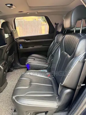 Hyundai Palissade 2019 Gris