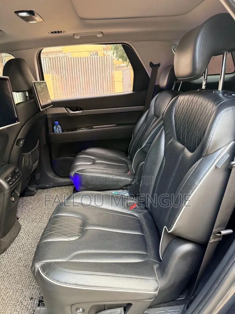 Hyundai Palissade 2019 Gris