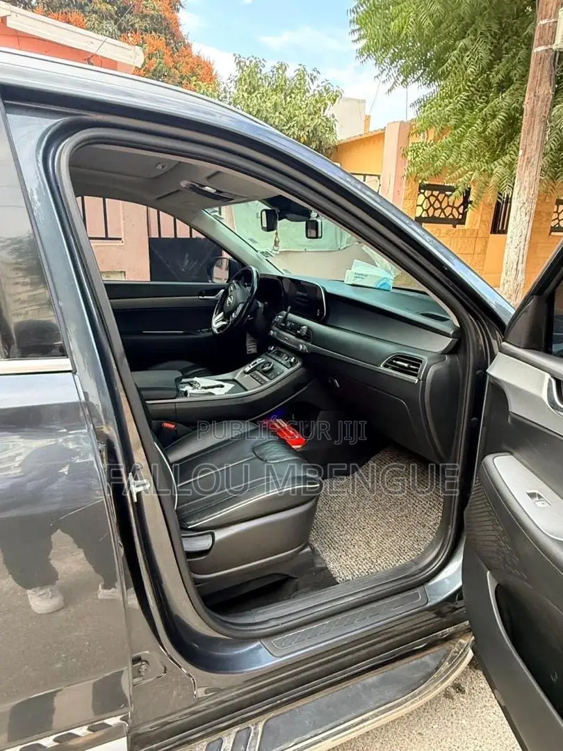 Hyundai Palissade 2019 Gris