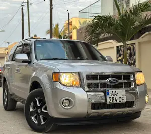 Ford Escape XLT 2012 Gris