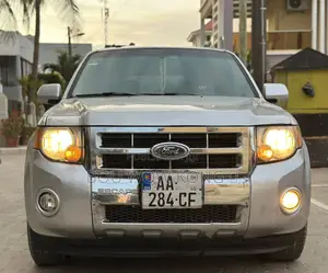 Ford Escape XLT 2012 Gris