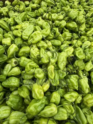 Piments Verts Frais À Thiaroye !Stock Limité Commandez Vite