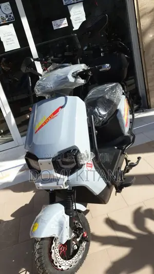 Nouveau UM Rockville 300 2025 Autre