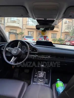 Mazda CX-3 2020 Rouge