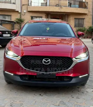 Mazda CX-3 2020 Rouge
