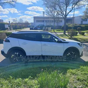 Peugeot 2008 2022 Blanc